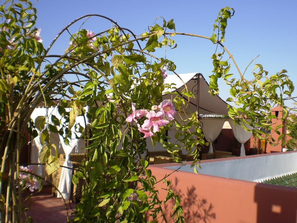 Riad Mariana Marrakesh Exterior foto